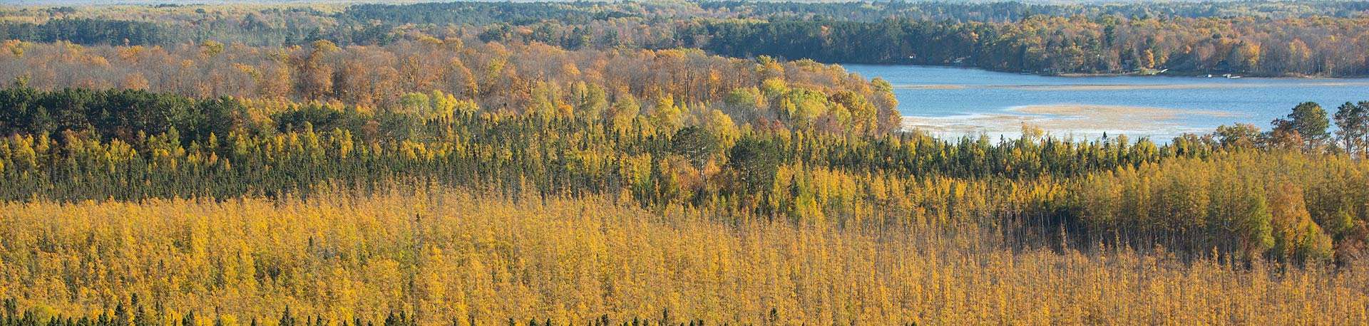 Fall color landscape with green evergreens, yellow, orange leafy trees, and blue lake in the background.