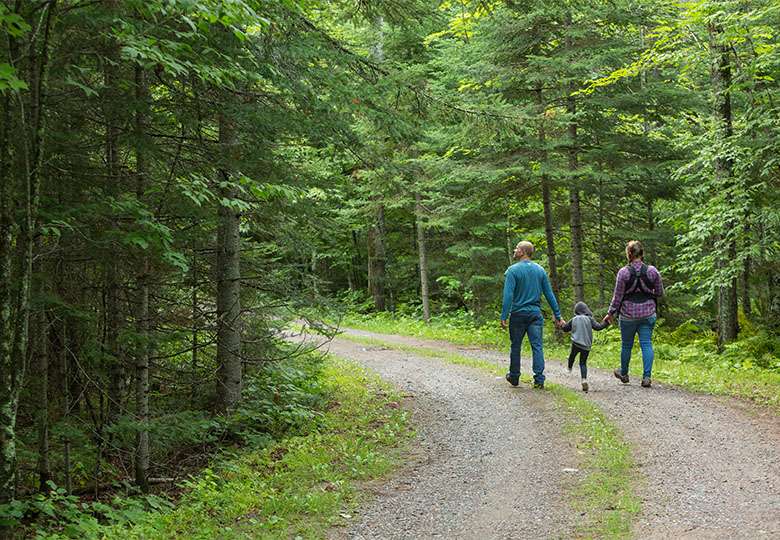Man and woman hold hands of small child between them as they walk on dirt road through evergreen forest.